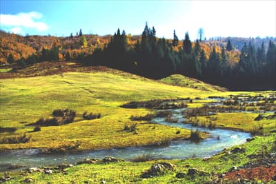 Köyümüz